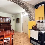 The Quiet Yellow House Pornassio