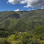 The Quiet Yellow House * Pornassio