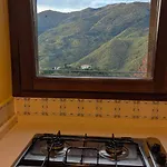 The Quiet Yellow House *