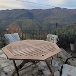 The Quiet Yellow House * Pornassio