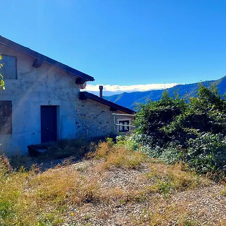 The Quiet Yellow House