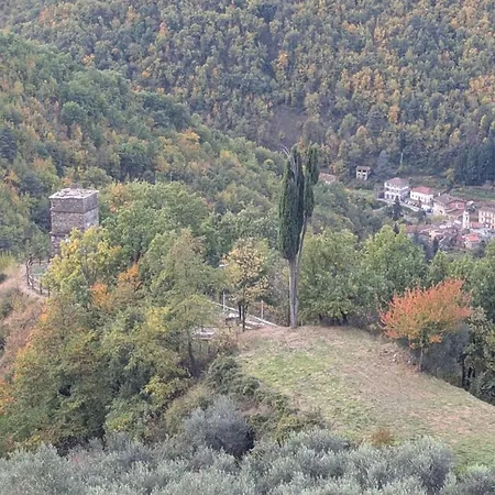 The Quiet Yellow House *