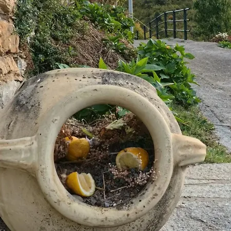 The Quiet Yellow House * Pornassio