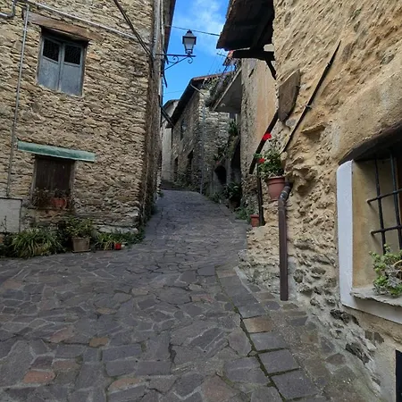 The Quiet Yellow House Pornassio