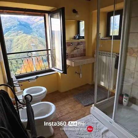 The Quiet Yellow House Pornassio
