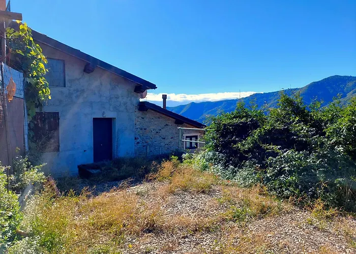 The Quiet Yellow House