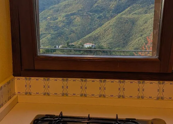 The Quiet Yellow House *