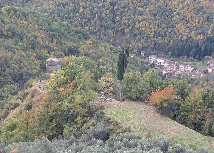 The Quiet Yellow House *