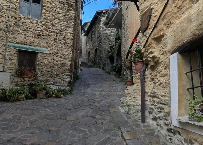 The Quiet Yellow House Pornassio
