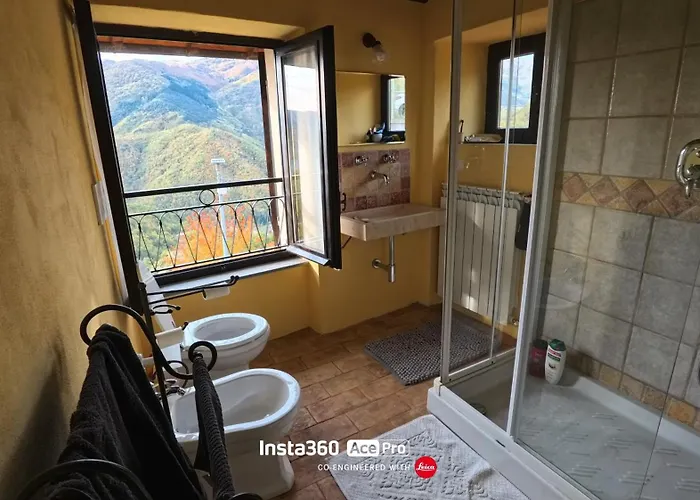 The Quiet Yellow House Pornassio